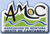 Escudo de AMOC