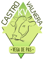 Escudo de KV Castro Valnera