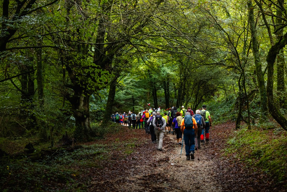 Senderistas por un camino entre árboles