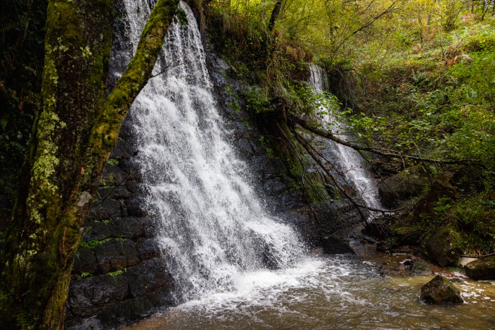 Cascada en el bosque