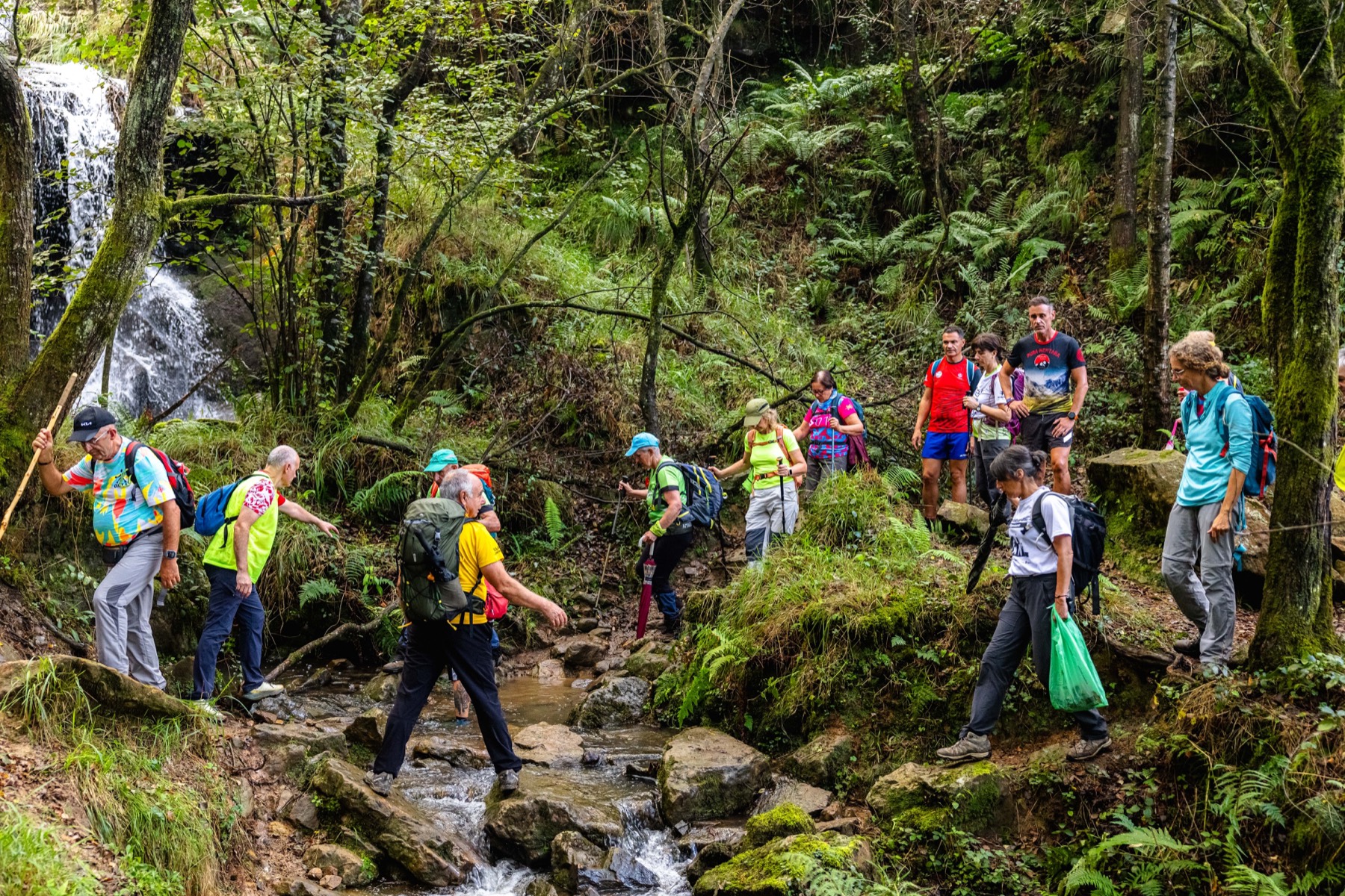 Grupo de senderistas de un club caminando por el bosque